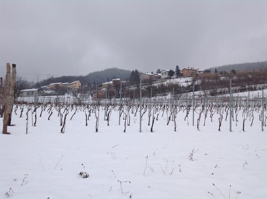 Azienda Agricola Garoglio Davide 알피아노나타 외부 사진